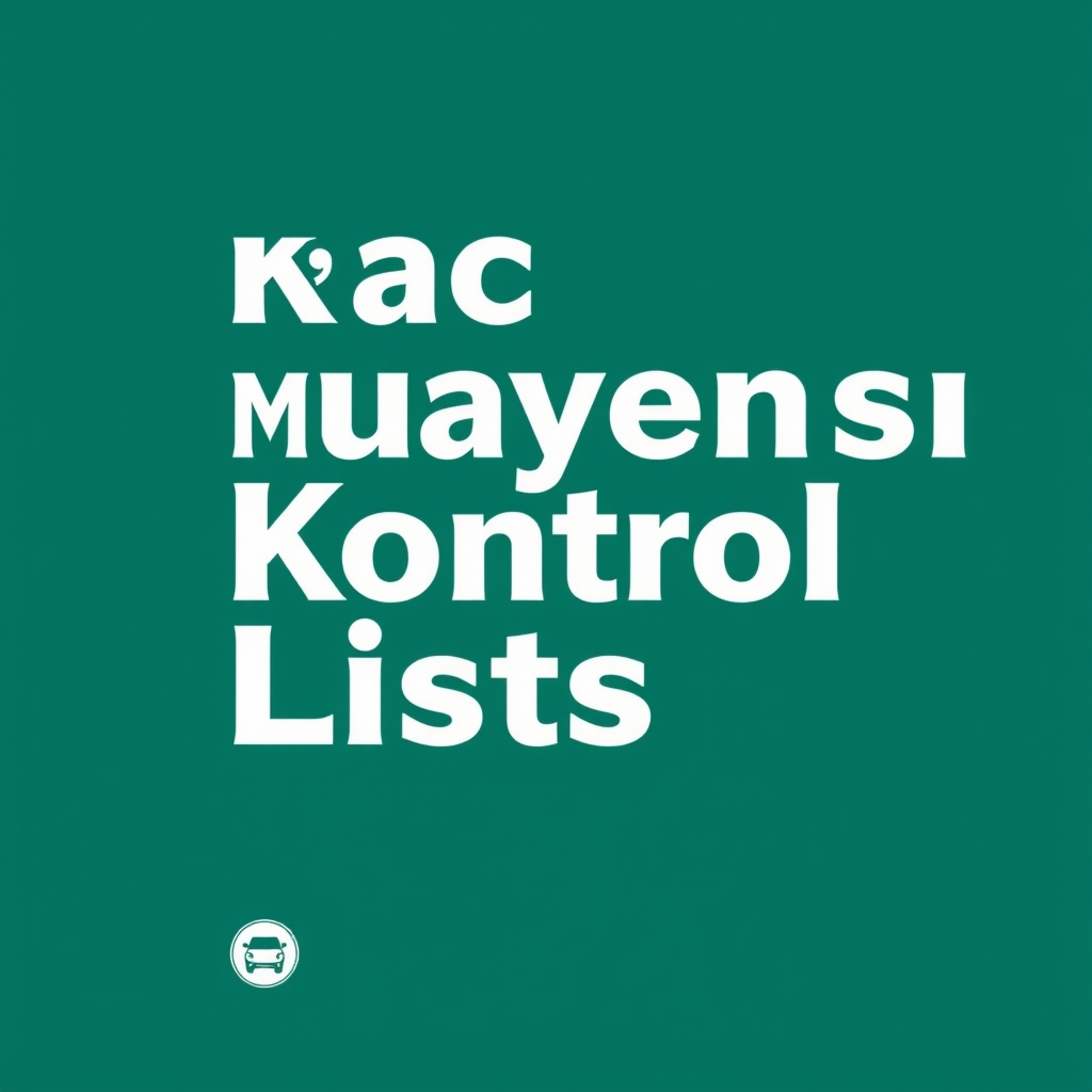 Araç Muayenesi Öncesi Kontrol Listesi açıklayıcı görsel 2